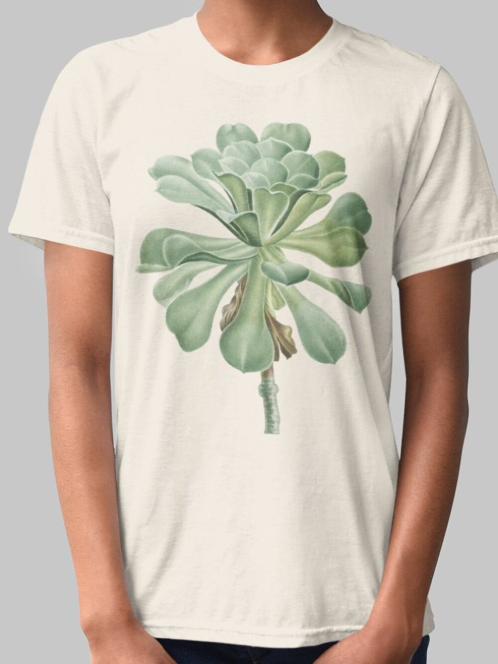 Canary Island Houseleek Botanical Print Short Sleeve Graphic Tee T-shirt S-XXL - Picture 1 of 5